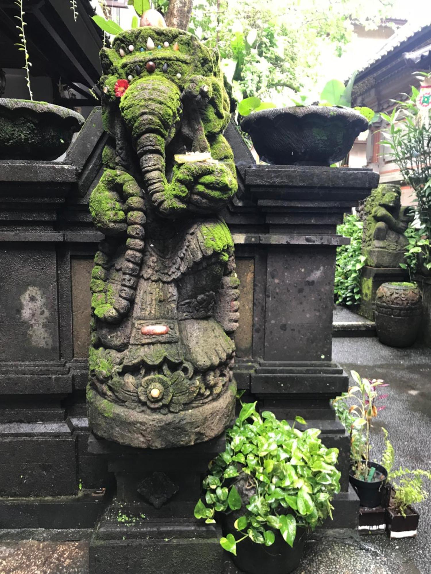 Pangkung House Leilighet Ubud Eksteriør bilde