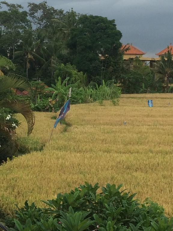 Pangkung House Leilighet Ubud Eksteriør bilde