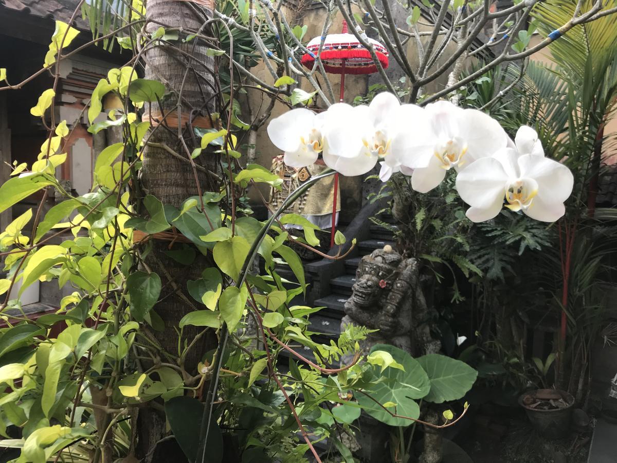 Pangkung House Leilighet Ubud Eksteriør bilde